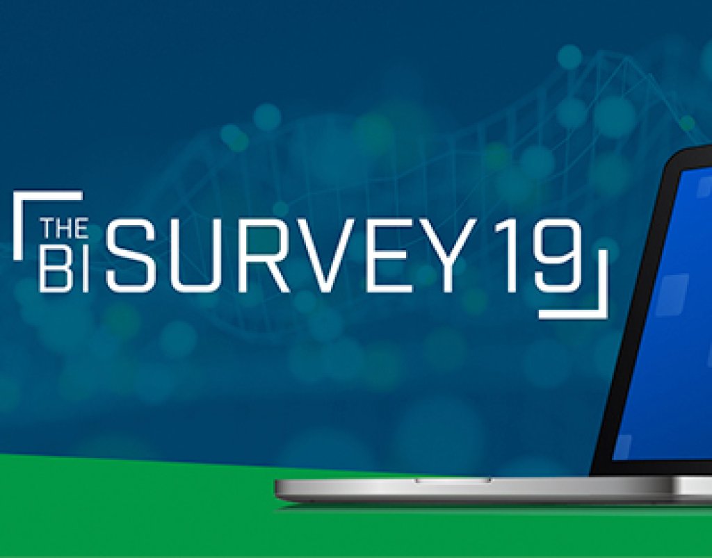 barc bi survey qlik.