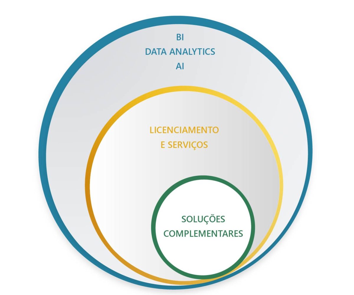 Services BI